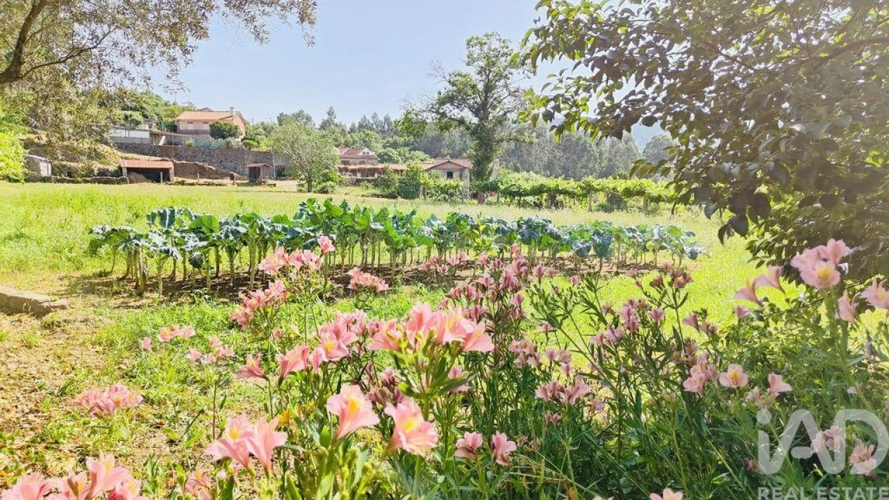 Moradia T2 para Venda em Fontoura Foto 33