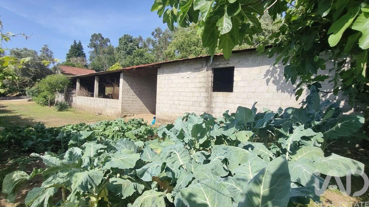 Moradia T2 para Venda em Fontoura Foto 38