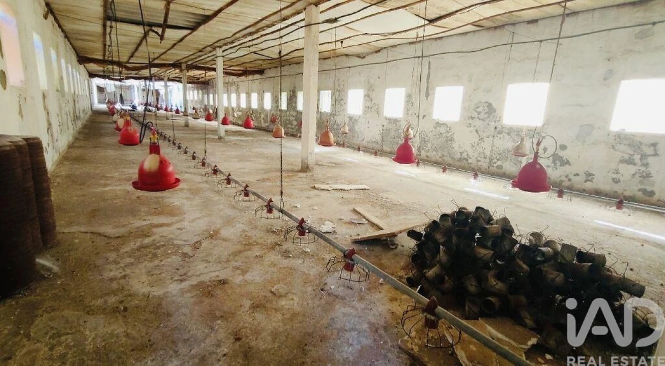 Moradia T2 para Venda em Fontoura Foto 29