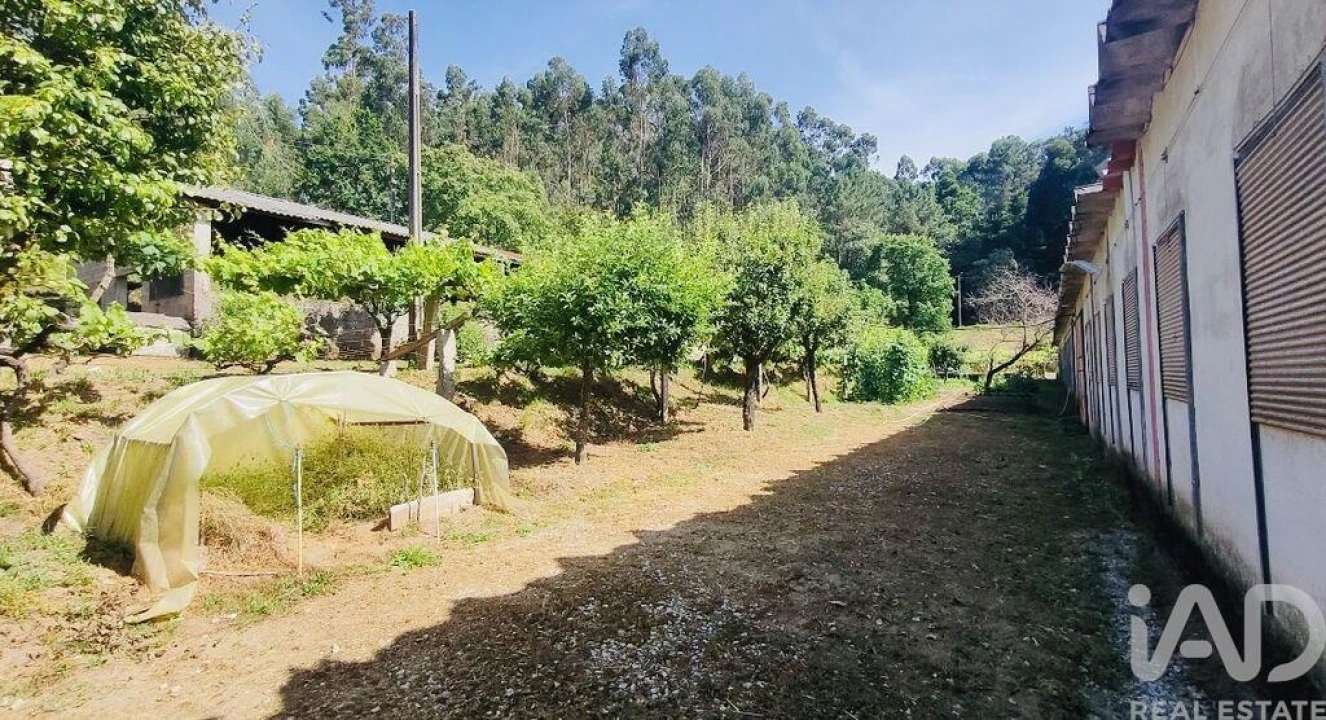 Moradia T2 para Venda em Fontoura Foto 34