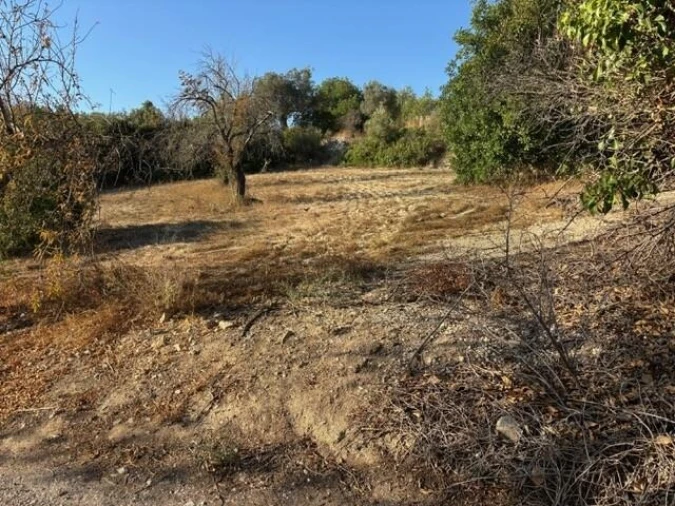 Terreno para Venda em Loule (São Sebastião) Foto 2