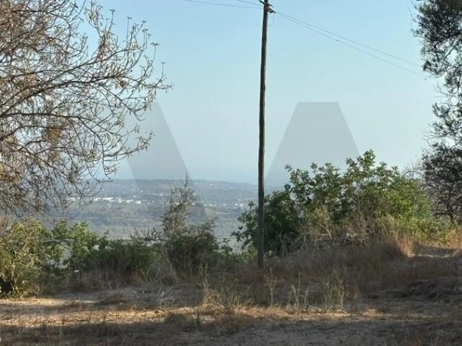 Terreno para Venda em Loule (São Sebastião) Foto 7