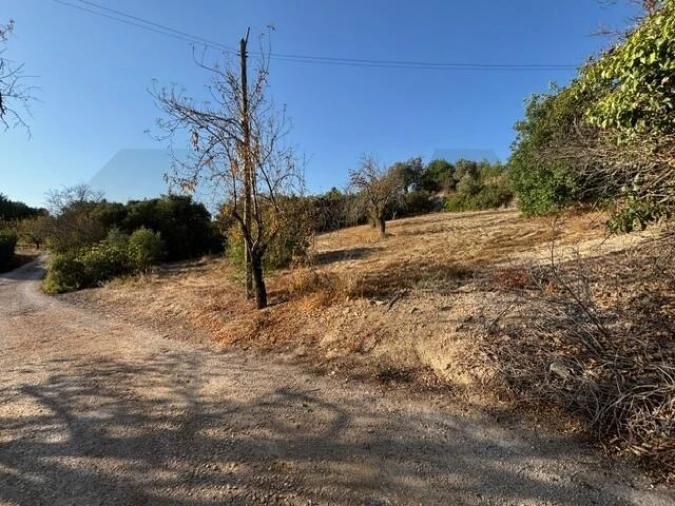 Terreno para Venda em Loule (São Sebastião) Foto 3