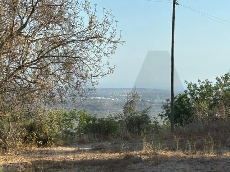 Terreno para Venda em Loule (São Sebastião) Foto 8
