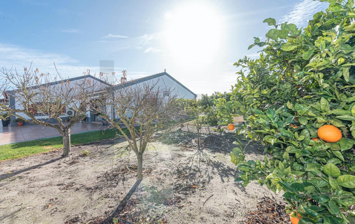 Moradia T4 para Venda em Pinhal Novo Foto 38