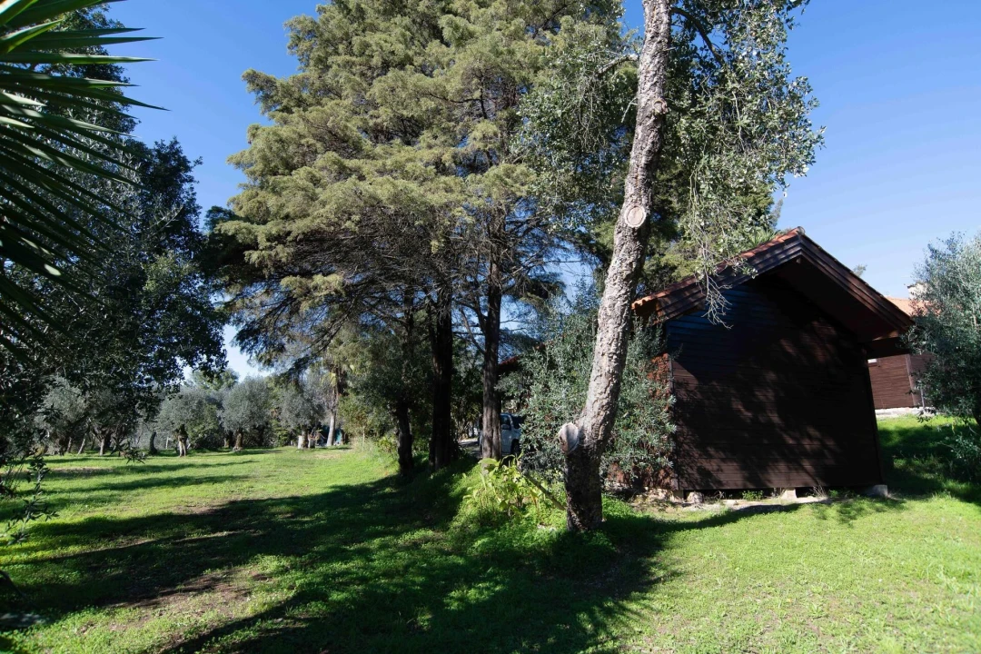 Negócio para Venda em São João Baptista e Santa Maria dos Olivais Foto 33