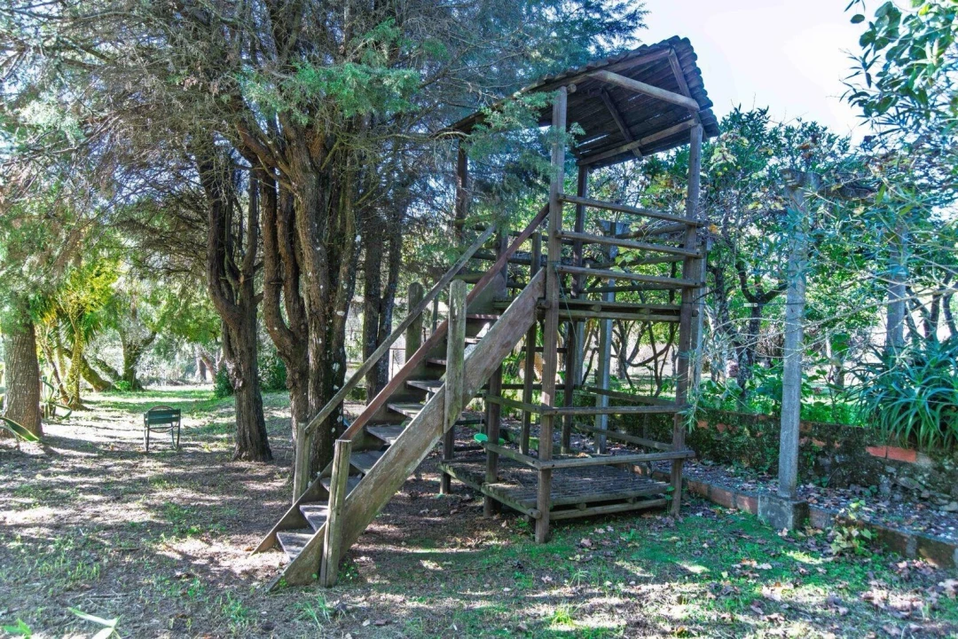 Negócio para Venda em São João Baptista e Santa Maria dos Olivais Foto 25
