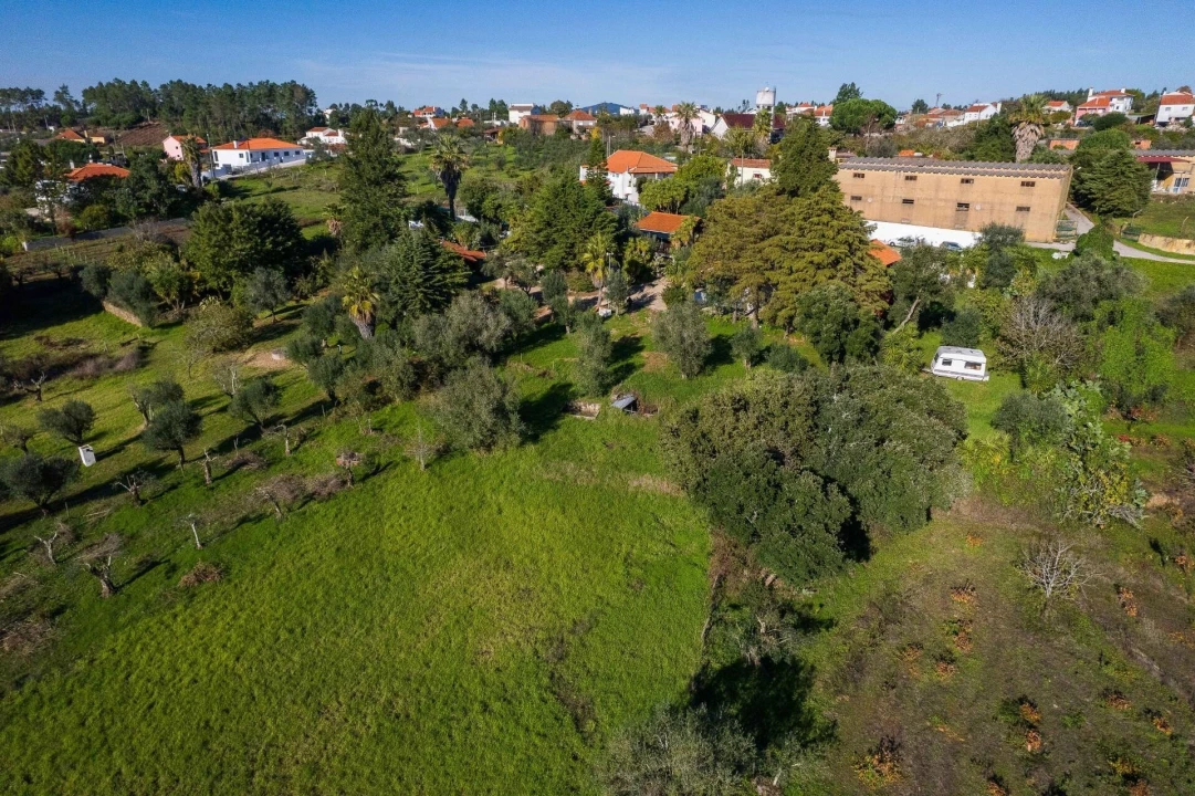 Negócio para Venda em São João Baptista e Santa Maria dos Olivais Foto 5