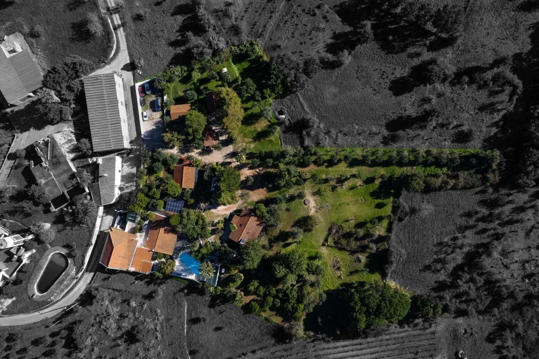 Negócio para Venda em São João Baptista e Santa Maria dos Olivais Foto 1