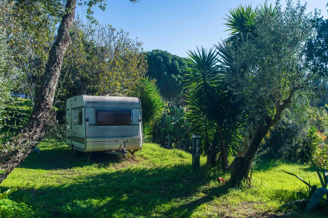 Negócio para Venda em São João Baptista e Santa Maria dos Olivais Foto 32