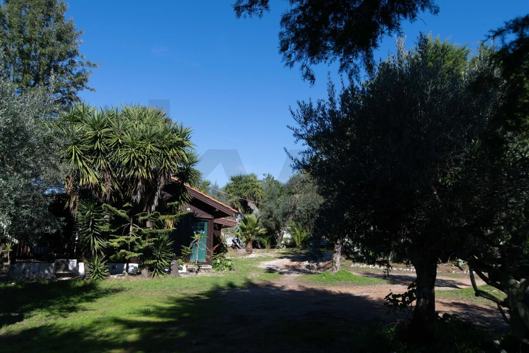 Negócio para Venda em São João Baptista e Santa Maria dos Olivais Foto 29