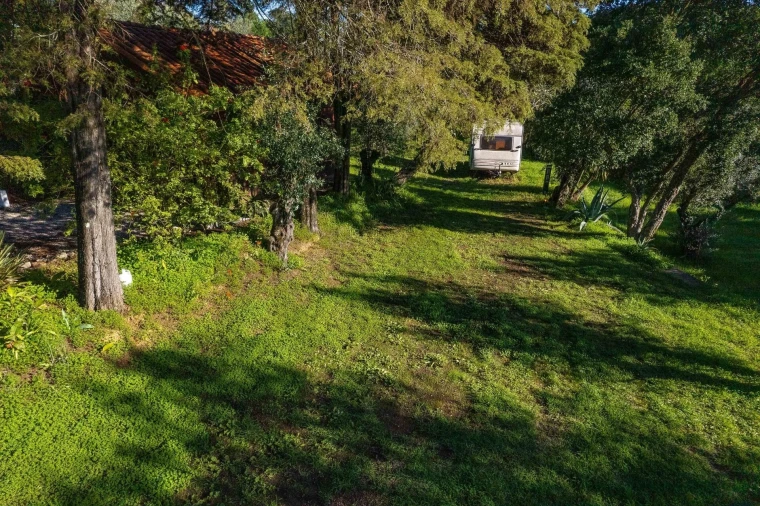 Negócio para Venda em São João Baptista e Santa Maria dos Olivais Foto 84