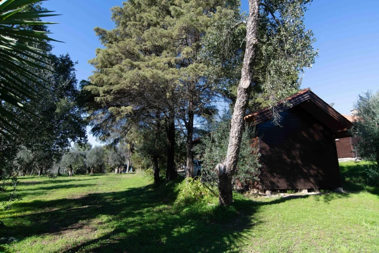 Negócio para Venda em São João Baptista e Santa Maria dos Olivais Foto 33
