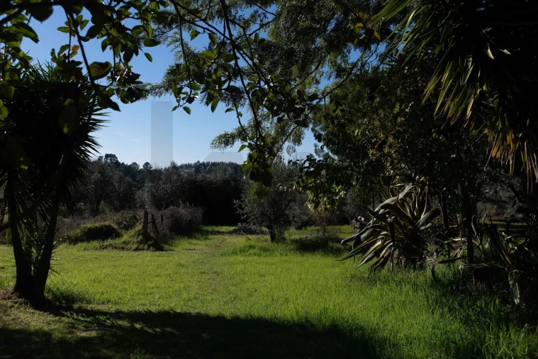 Negócio para Venda em São João Baptista e Santa Maria dos Olivais Foto 26