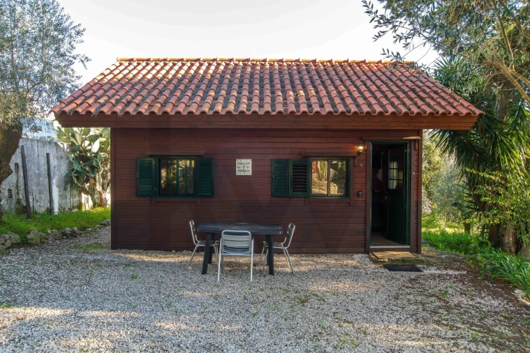 Negócio para Venda em São João Baptista e Santa Maria dos Olivais Foto 7