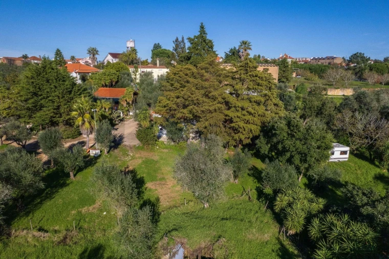 Negócio para Venda em São João Baptista e Santa Maria dos Olivais Foto 79