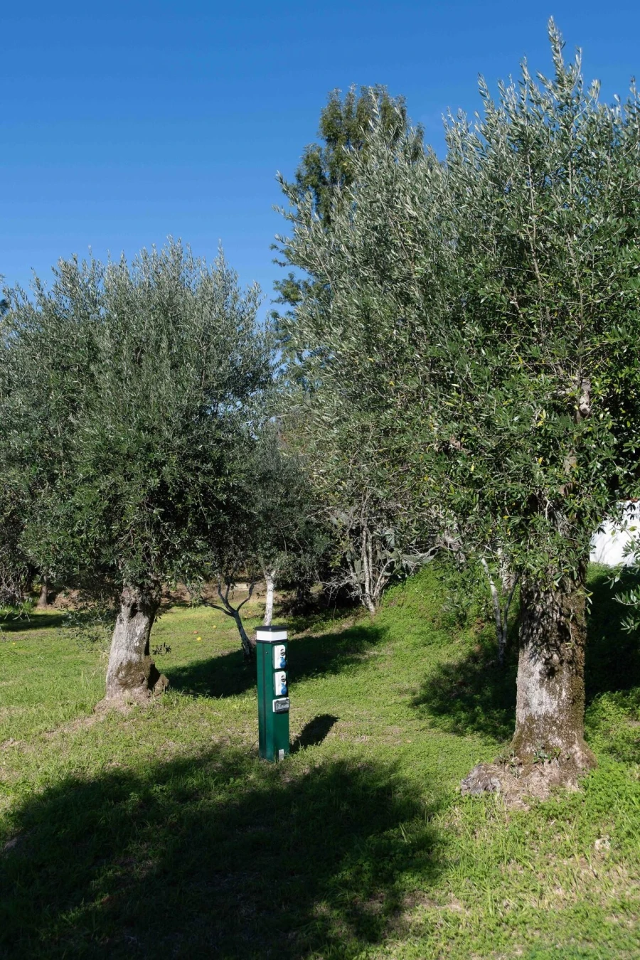 Negócio para Venda em São João Baptista e Santa Maria dos Olivais Foto 27