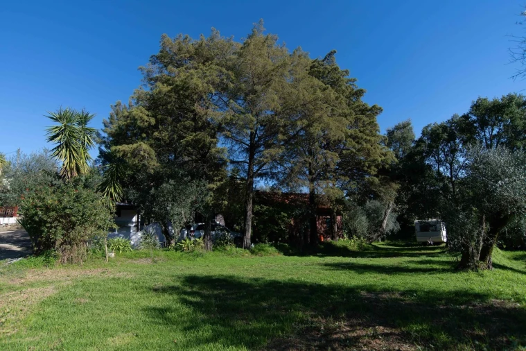 Negócio para Venda em São João Baptista e Santa Maria dos Olivais Foto 31