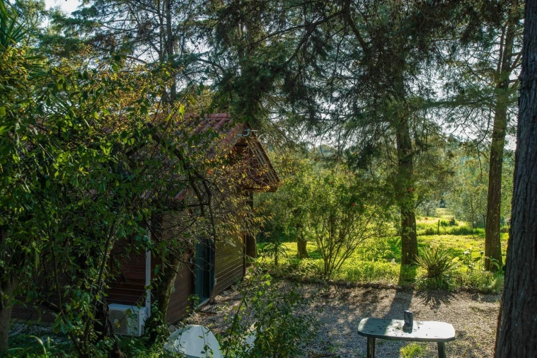 Negócio para Venda em São João Baptista e Santa Maria dos Olivais Foto 4