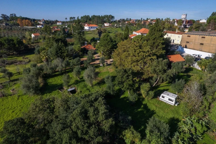 Negócio para Venda em São João Baptista e Santa Maria dos Olivais Foto 82