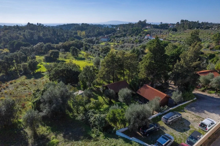 Negócio para Venda em São João Baptista e Santa Maria dos Olivais Foto 83