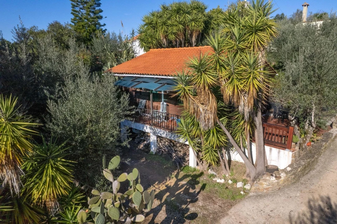 Negócio para Venda em São João Baptista e Santa Maria dos Olivais Foto 19