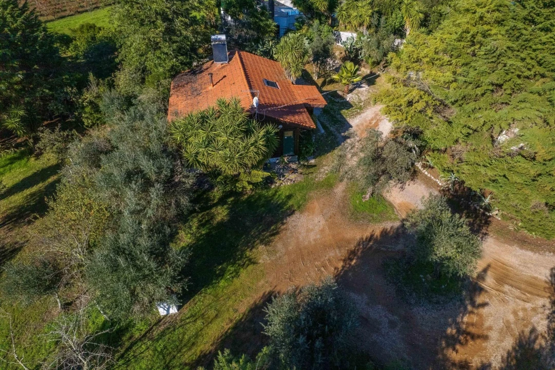 Negócio para Venda em São João Baptista e Santa Maria dos Olivais Foto 85