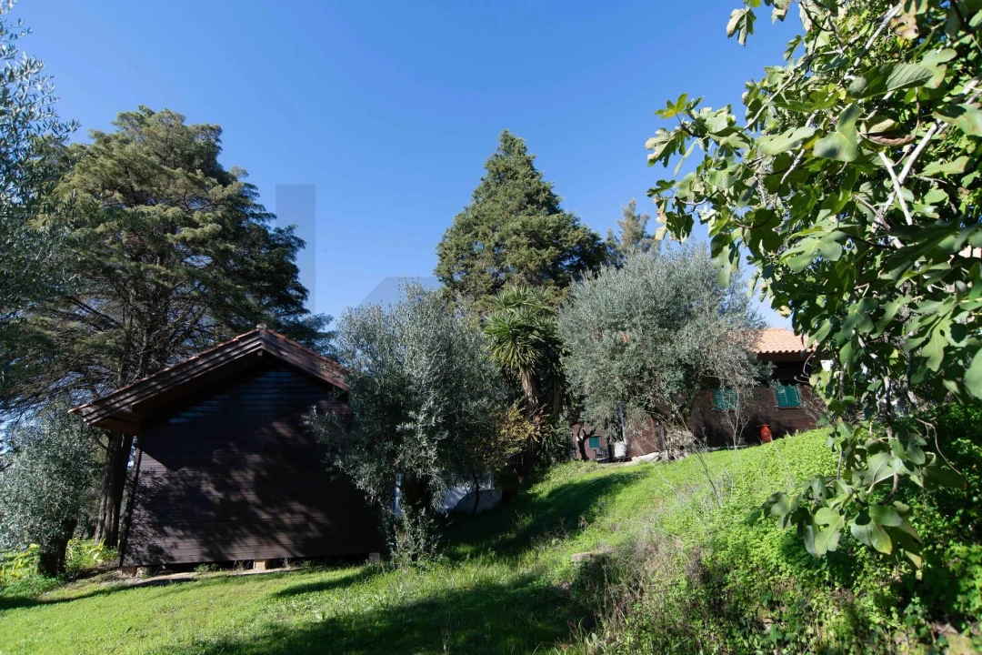 Negócio para Venda em São João Baptista e Santa Maria dos Olivais Foto 34