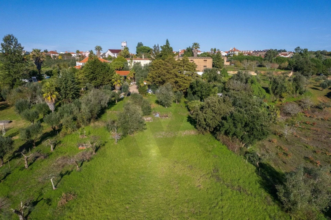 Negócio para Venda em São João Baptista e Santa Maria dos Olivais Foto 80
