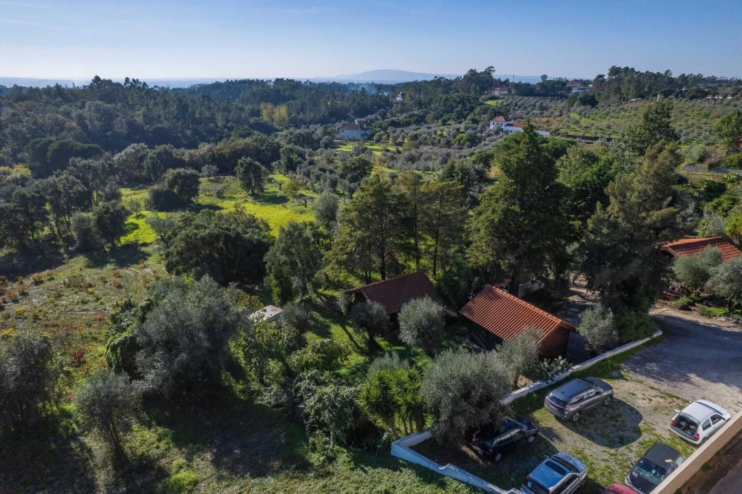 Negócio para Venda em São João Baptista e Santa Maria dos Olivais Foto 83