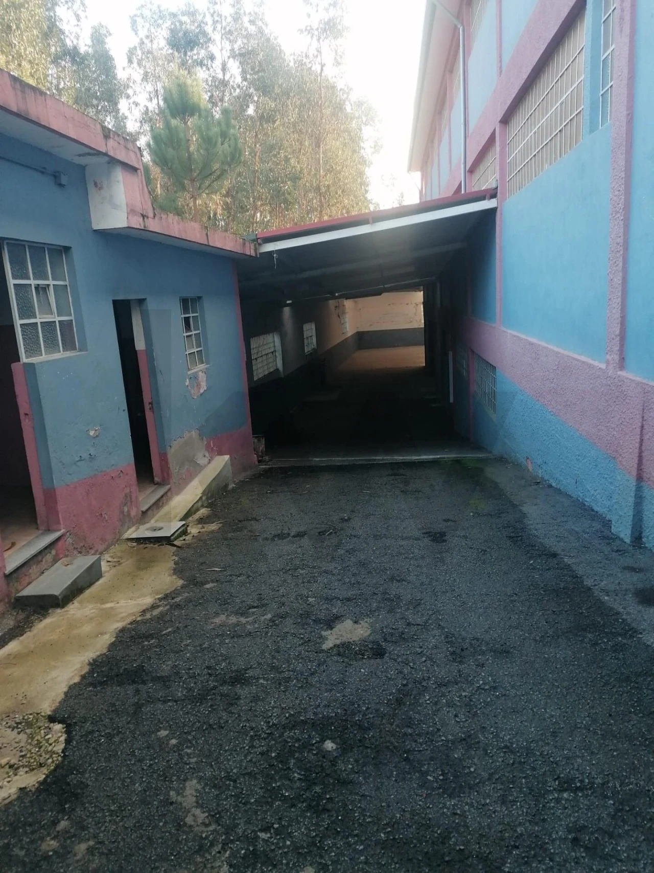 Armazém para Venda em Canedo, Vale e Vila Maior Foto 38