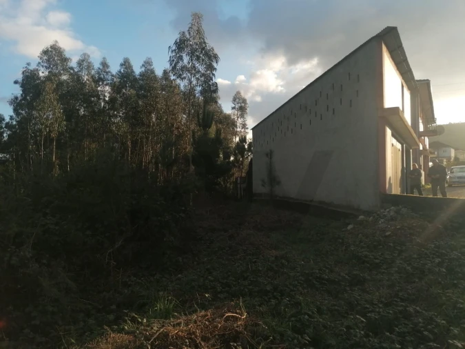Armazém para Venda em Canedo, Vale e Vila Maior Foto 8