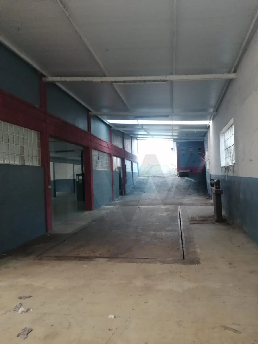 Armazém para Venda em Canedo, Vale e Vila Maior Foto 41