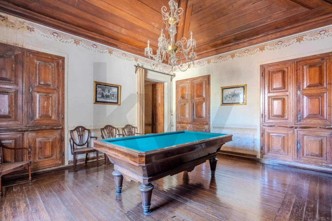 Quinta T20 para Venda em Arcos e Mogofores Foto 42