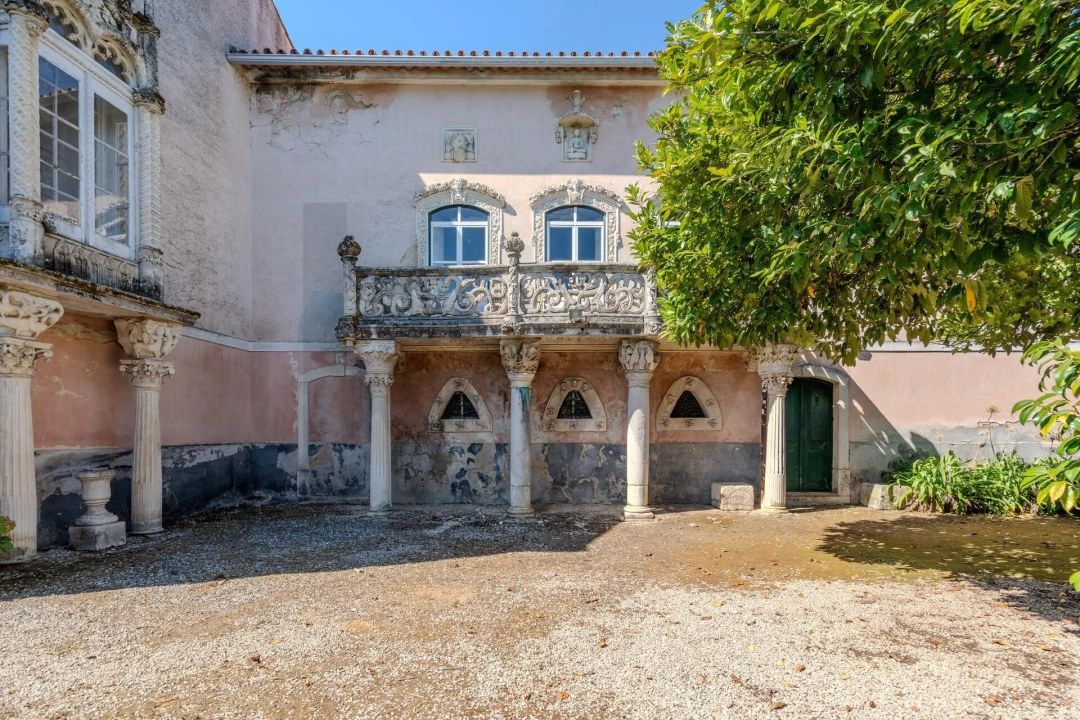 Quinta T20 para Venda em Arcos e Mogofores Foto 50