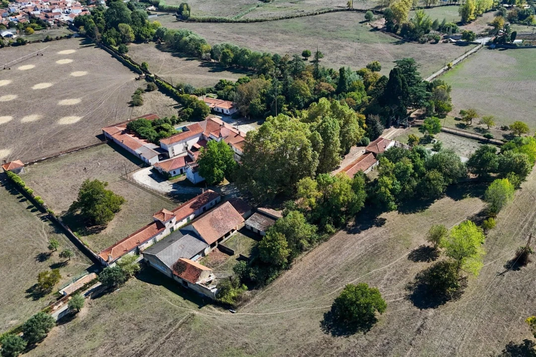 Quinta T20 para Venda em Arcos e Mogofores Foto 6