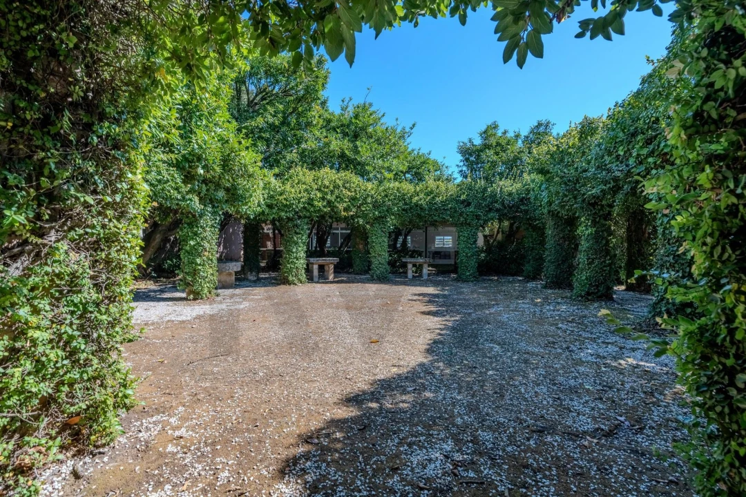 Quinta T20 para Venda em Arcos e Mogofores Foto 53