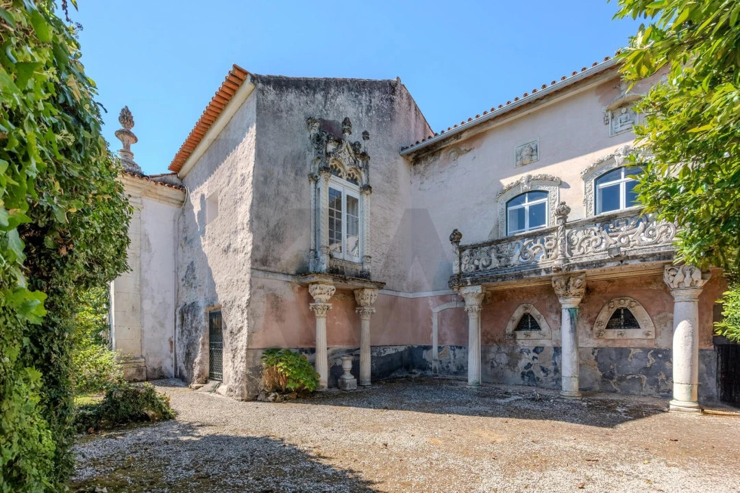 Quinta T20 para Venda em Arcos e Mogofores Foto 51