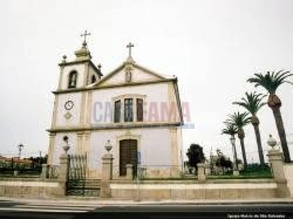 Terreno para Venda em Arvore Foto 5