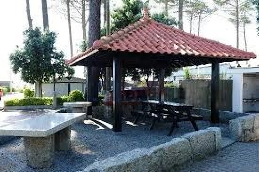 Terreno para Venda em Arvore Foto 12