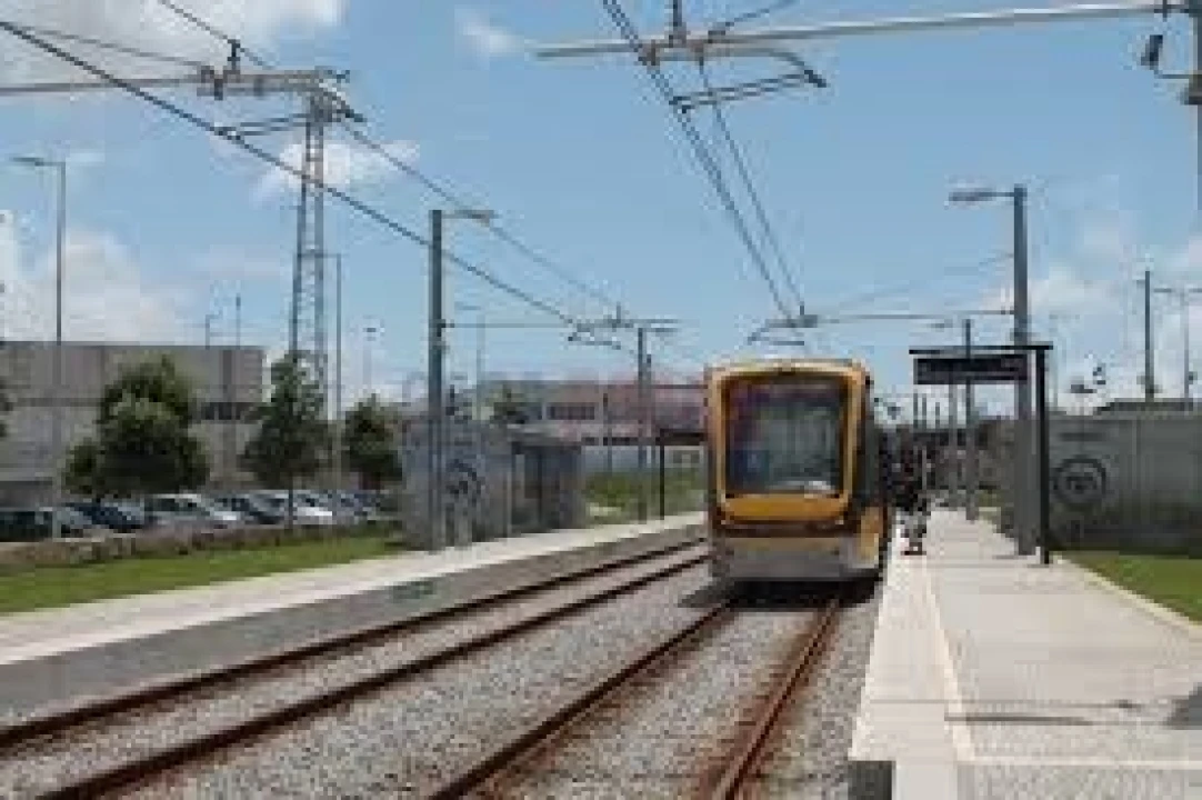 Terreno para Venda em Arvore Foto 15