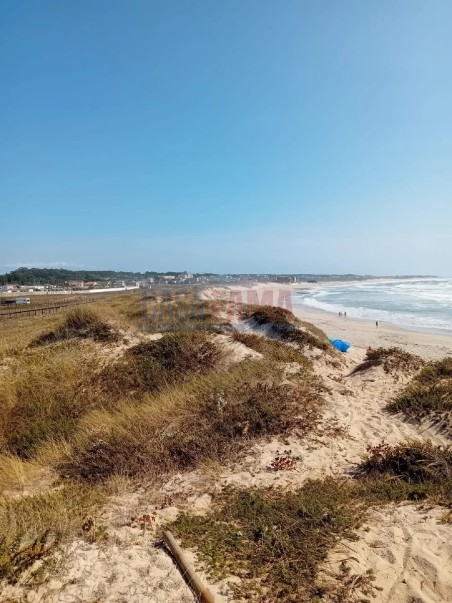 Terreno para Venda em Arvore Foto 2