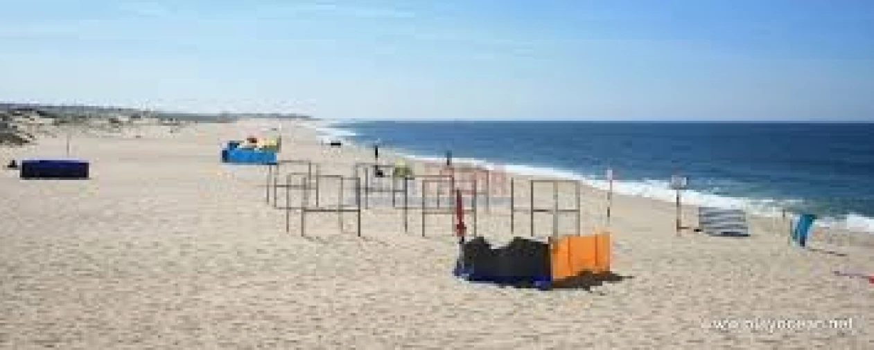 Terreno para Venda em Arvore Foto 10