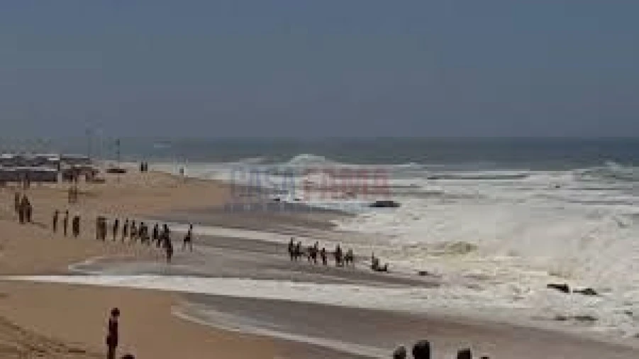 Terreno para Venda em Arvore Foto 14