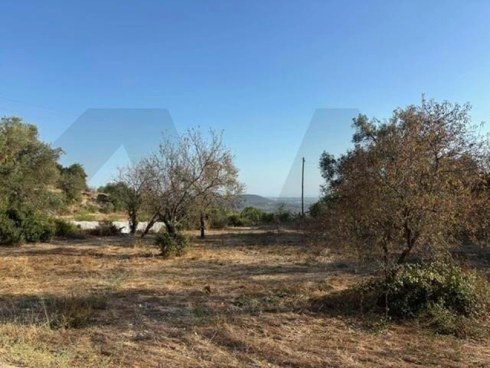 Terreno para Venda em Loule (São Clemente) Foto 5