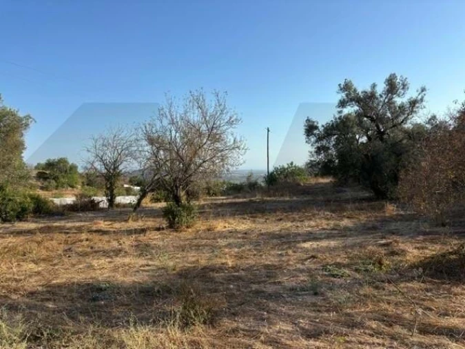 Terreno para Venda em Loule (São Clemente) Foto 6