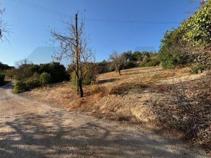 Terreno para Venda em Loule (São Clemente) Foto 4
