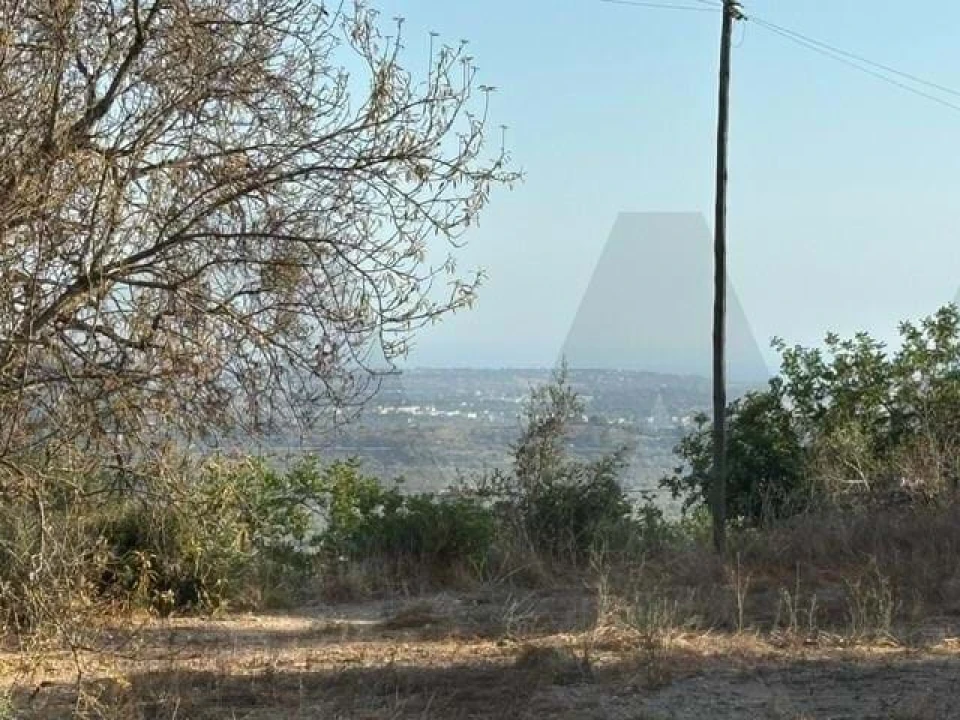 Terreno para Venda em Loule (São Clemente) Foto 8