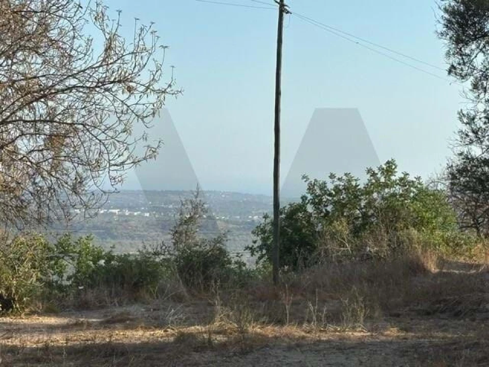 Terreno para Venda em Loule (São Clemente) Foto 7