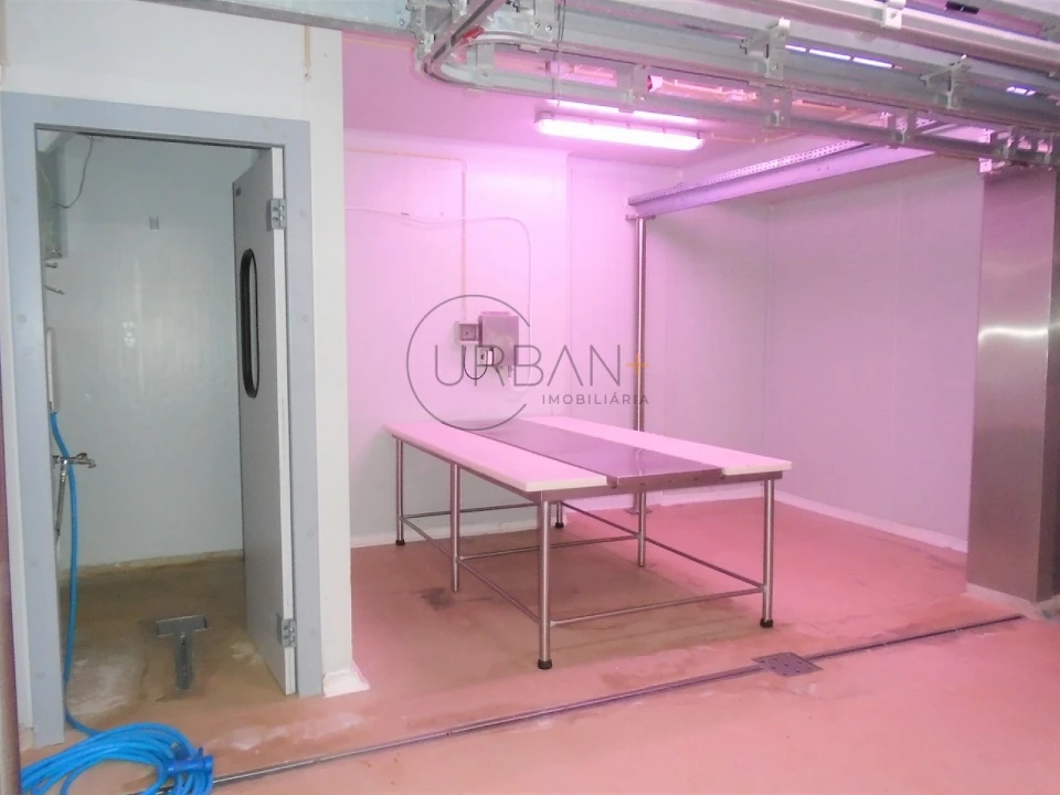 Armazém para Arrendamento em Abraveses Foto 3